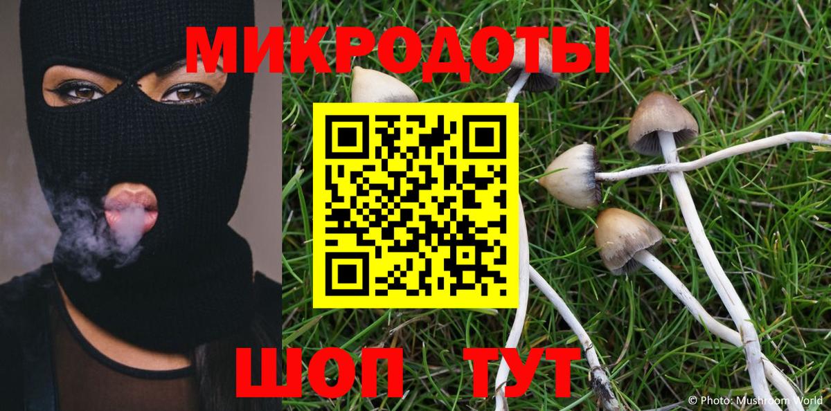 Глазов  Галлюциногенные грибы Cubensis  Вход с VPN 